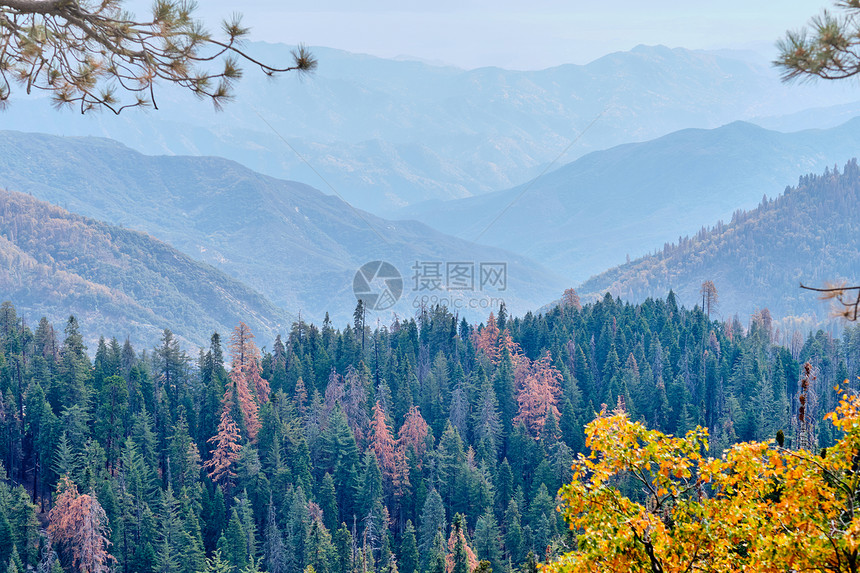 红杉公园秋季山体景观加州,美国图片