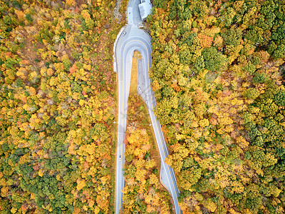 风景优美的莫霍克小径公路发夹弯秋天,马萨诸塞州,美国落新英格兰空中无人机图片