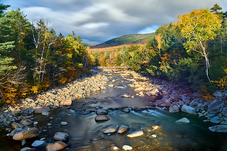 斯威夫特河瀑布秋天的白山森林,新罕布什尔州,美国落新英格兰树高清图片素材