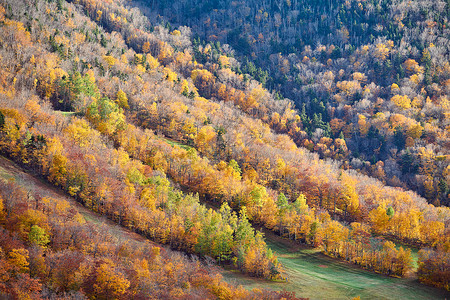 艺术家的虚张声势秋天的景色法国公园的秋天颜色美国新罕布什尔州白山森林背景图片
