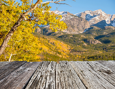 秋天的白杨树林洛基山公园科罗拉多,美国图片