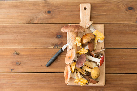烹饪,烹饪食用蘑菇的同的食用蘑菇菜刀木制切割板木制切割板刀上的食用蘑菇背景图片