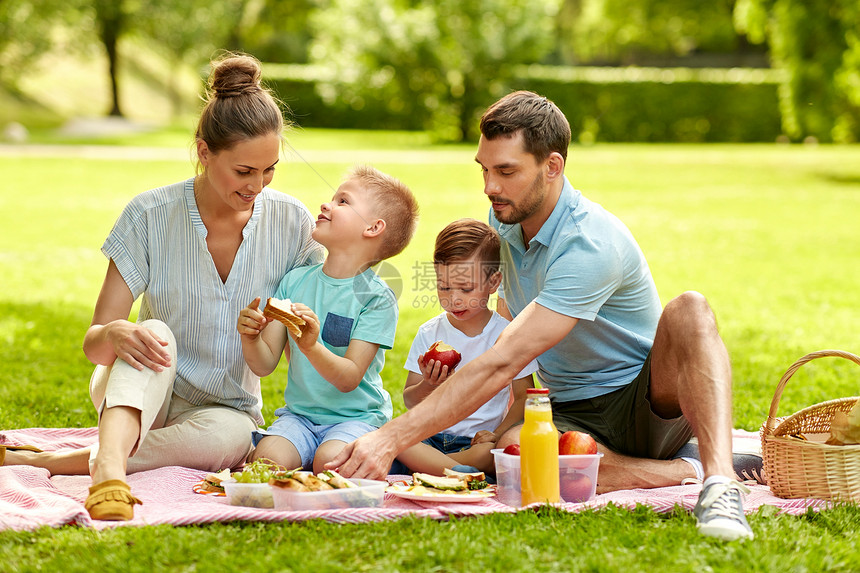 家庭,休闲人的快乐的母亲,父亲两个小儿子夏季公园野餐快乐的家庭夏天的公园野餐图片