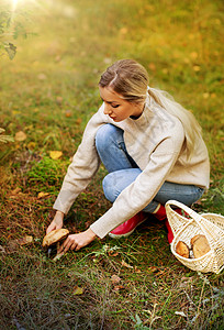 红帽子女孩蘑菇季节休闲的人的轻的女人带着篮子秋天的森林里采蘑菇轻的女人秋天的森林里采蘑菇背景