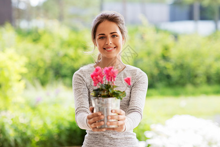 农业,园艺人们的快乐的轻妇女与粉红色仙客来花盆栽夏季花园夏天花园里仙客来花的轻女人背景图片