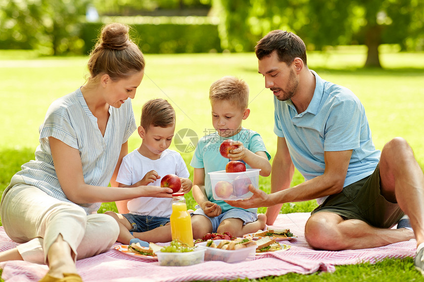 家庭,休闲人的快乐的母亲,父亲两个小儿子夏季公园野餐快乐的家庭夏天的公园野餐图片
