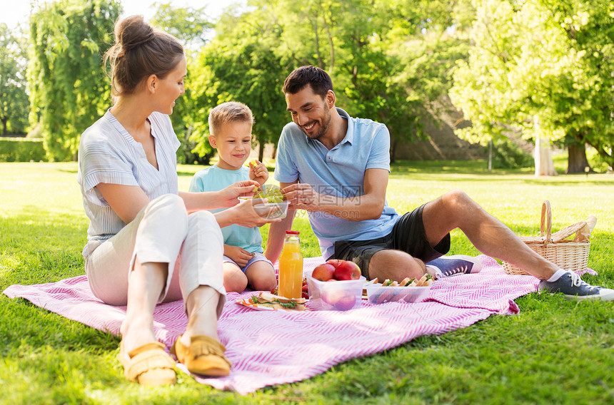 快乐的家庭夏天的公园野餐图片