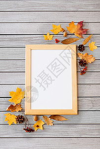 自然,季节植物学秋季水果白板木框灰色木板背景秋天的水果相框白板背景图片