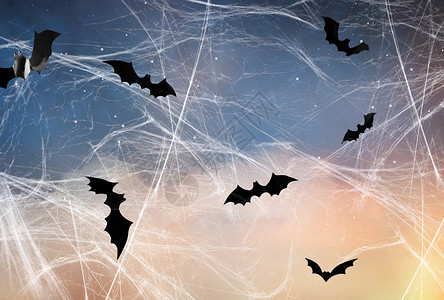 蝙蝠超声波可怕的黑色蝙蝠飞过星空蜘蛛网背景