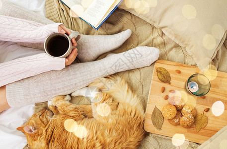 宠物,湿气人的女人带着咖啡,书,饼干红色的塔比猫睡家里的毯子秋天女人带着咖啡红猫睡床上背景图片