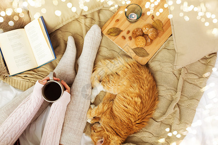 宠物,湿气人的女人带着咖啡,书,饼干红色的塔比猫睡家里的毯子秋天女人带着咖啡红猫睡床上背景图片