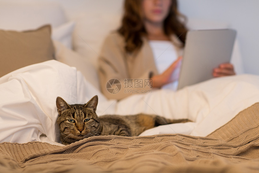 宠物家畜猫躺床上与妇女用平板电脑图片