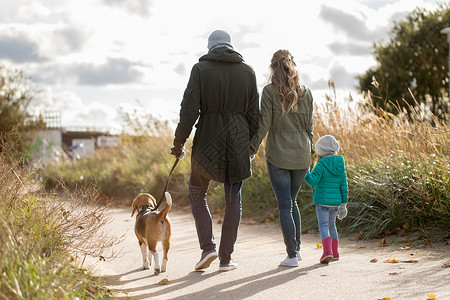 家庭,宠物人的快乐的母亲,父亲小女儿秋天比格犬散步秋天狗散步的幸福家庭图片