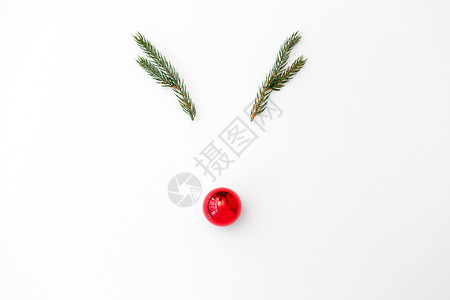 寒假诞节装饰品白色背景上冷杉树枝红球的驯鹿诞鹿由冷杉树枝红球制成图片