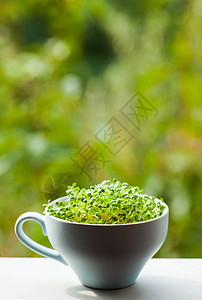 杯子里机微绿色健康生活的健康生活的机微绿图片
