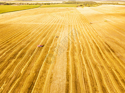 收割机场景工作联合收割机农业机收获金熟麦田农业俯视图片