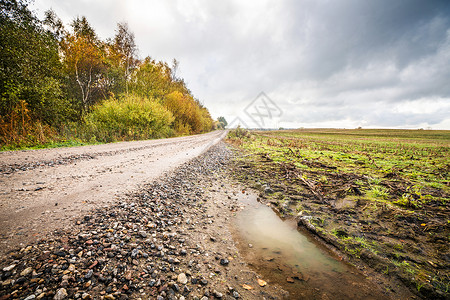 越野路条泥土路旁,秋天小石子,树上美丽的秋天的颜色背景