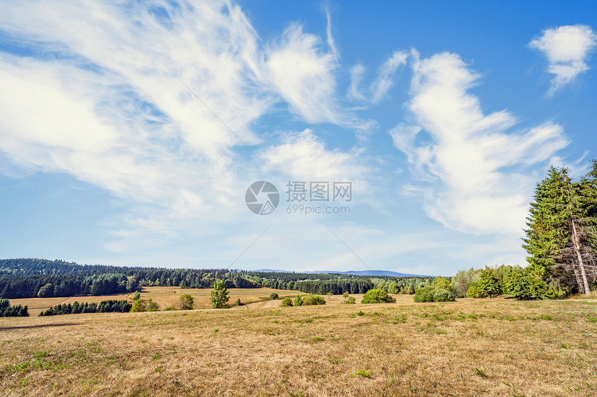 干燥的平原山坡上,夏天,蓝色的天空下,哈兹,德国图片