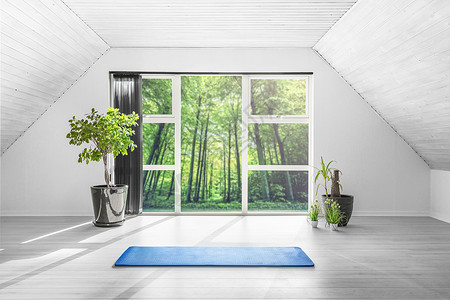 瑜伽垫子瑜伽健身房绿色森林里,地板上个蓝色的垫子绿色的植物背景
