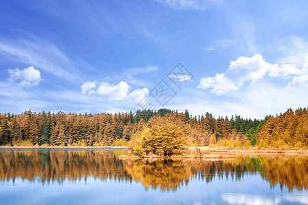 秋天的湖景夏天的蓝天下五颜六色的树图片
