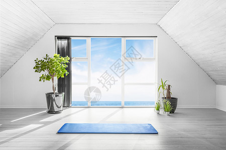 室内瑜伽场景与蓝色垫子个明亮的房间与海景几个绿色植物图片