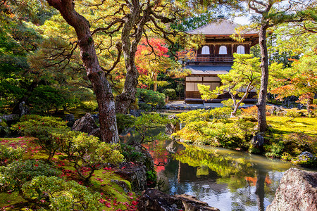 银阁寺金卡库吉银亭寺日本京都的秋摩济季节金卡库吉,日本京都的秋摩济季节被正式称为吉绍吉背景