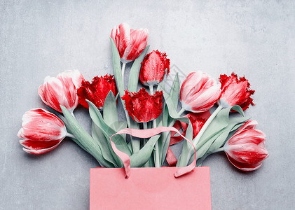 红色郁金香纸购物袋灰色背景节日的春天花花卉创作春季假期问候为您的背景图片