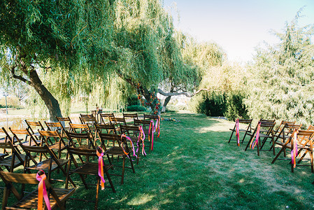 婚礼区域,拱椅装饰树木图片