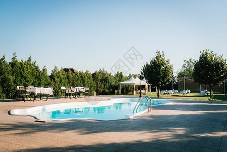 花园里的蓝色室外游泳池被针叶树包围着背景图片