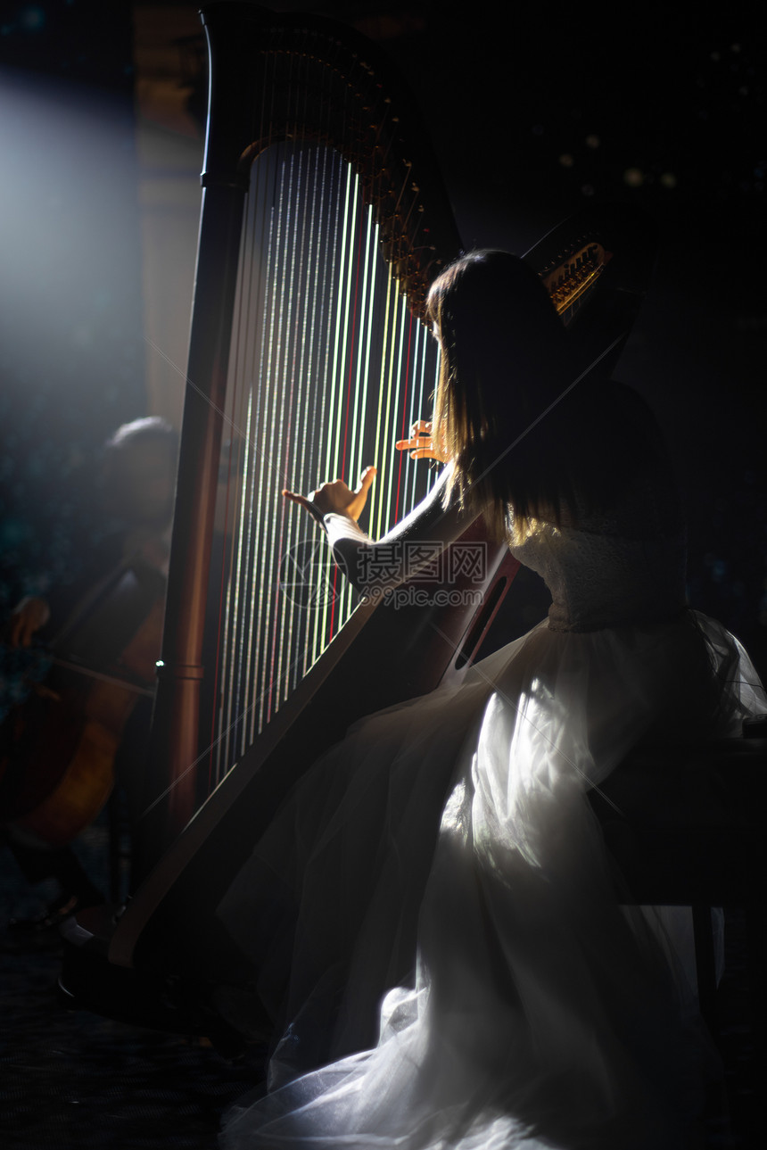 音乐会上演奏竖琴的女孩图片