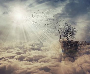 轻人站云层上的悬崖上,看着群鸟棵奇怪的光秃秃的树上飞来死亡之树象征旅程发现背景图片
