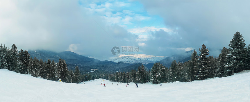 冷杉森林全景与高大的树木覆盖雪生长沿雪滑雪坡的皮林山与雾云斯科,保加利亚图片