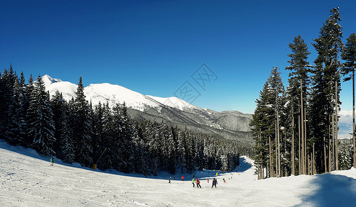 斯科滑雪坡上群滑雪者的风景,蓝天背景保加利亚皮林山图片
