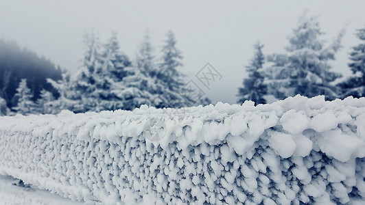 冬天的风景雪树,木栅栏上覆盖着霜背景图片