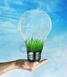 人类的手着个灯泡,长着绿色的草,蓝天的背景上节能理念,环保生态图片