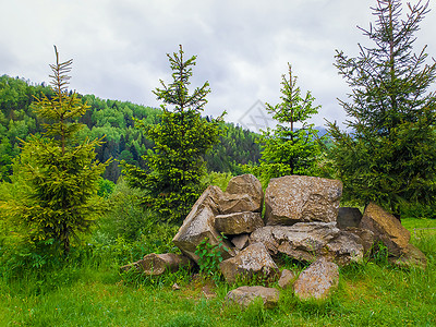 美丽的春天喀尔巴阡山,针叶林山顶自然景观,冷杉树堆石头同色调的绿色背景图片