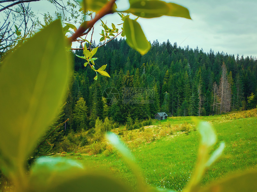 风景如画的春山景象与木屋小屋,透过绿化的树叶郁郁葱葱的牧场山谷上的所老房子,周围山上的松树林图片