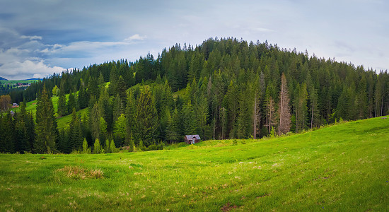 风景优美的喀尔巴阡山自然景观,山谷上的座老房子被山上的针叶林所包围阳光明媚的春天,绿色的草开花的草甸亚布隆尼亚,乌克兰背景图片