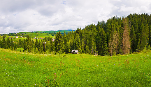 布朗贝蒂风景如画的春天,喀尔巴阡山脉寂静的景象,山谷里片绿色而郁郁葱葱的牧场古老的小屋,周围乌克兰亚布隆尼亚的松树林背景