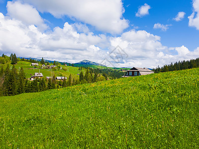 布朗贝蒂木木屋附近的冷杉森林,阳光明媚的春天,绿色的草开花的草甸亚布隆尼亚,喀尔巴阡村,乌克兰背景