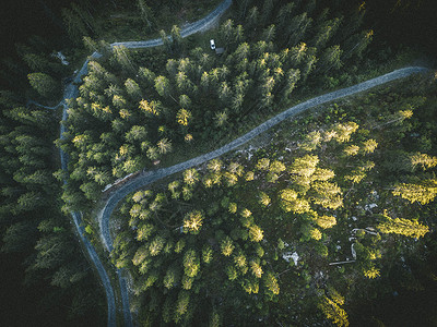 空中拍摄照片空中拍摄树木背景