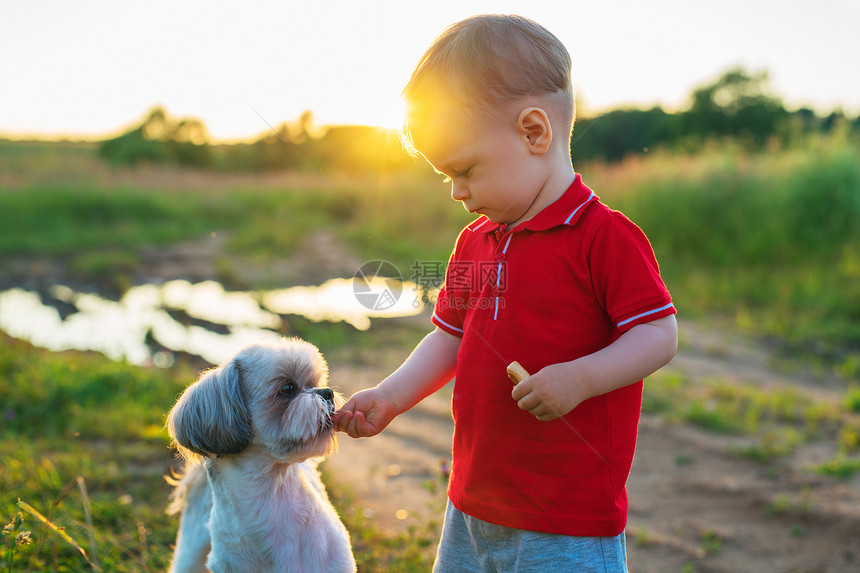 岁的孩子大自然散步时喂狗日落浅色儿童喂养的狗图片
