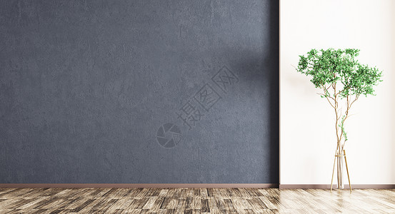 室内蓝色墙壁,木地板植物三维渲染图片