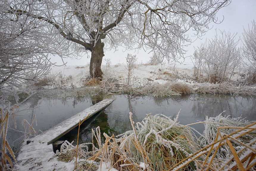 寒冷的冬天,乡村河流上的树木人行桥图片