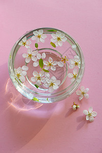 樱花枝与水碗粉红色的背景图片