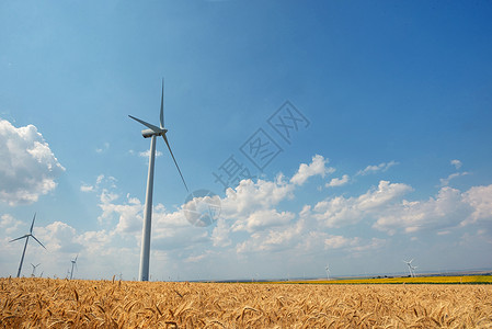 夏季田野的风力涡轮机农场图片