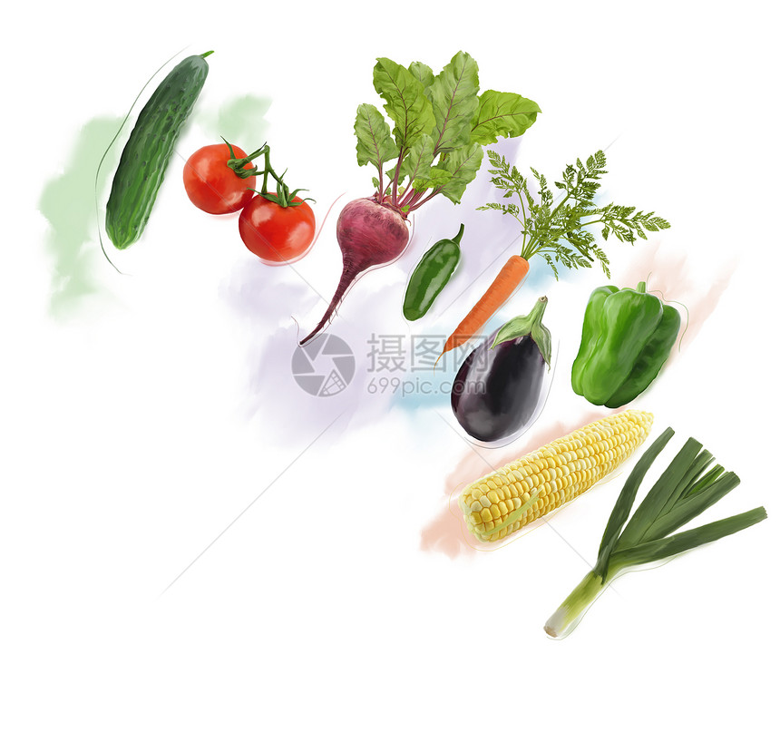 新鲜蔬菜的数字绘画新鲜蔬菜水彩画图片