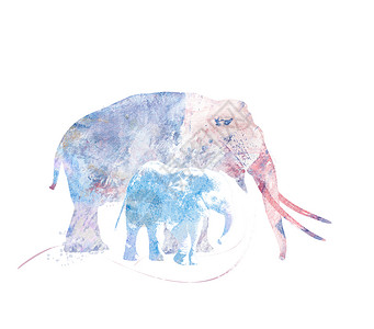 两只大象的数字绘画两头大象水彩画图片