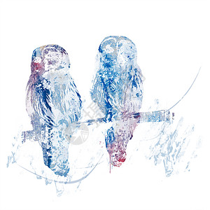 条纹猫头鹰栖息的数字绘画条纹猫头鹰水彩画图片