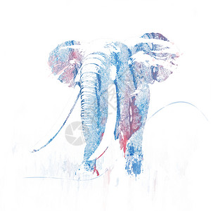大象轮廓的数字绘画大象形象水彩画图片